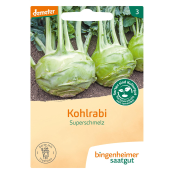 Saat Superschmelz Kohlrabi