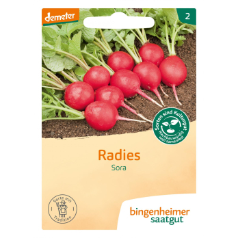 Saat Radieschen "Sora"