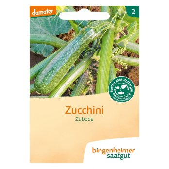 Saat Zucchini "Zuboda"