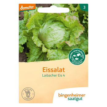 Saat Eissalat "Laibacher Eis"