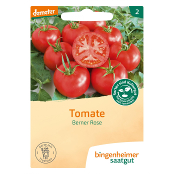 Saat Tomate "Berner Rose"
