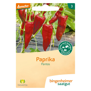 Saat Paprika "Pantos"