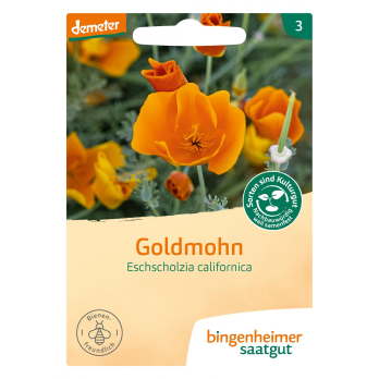 Saat Goldmohn