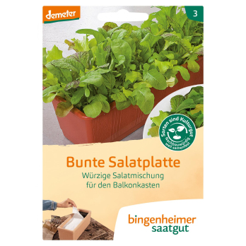 Saat Bunte Salatplatte