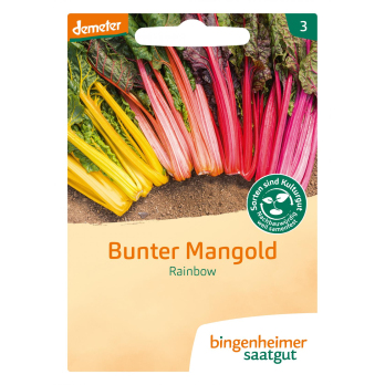 Saat Mangold "Rainbow"