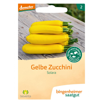 Saat gelbe Zucchini "Solara"
