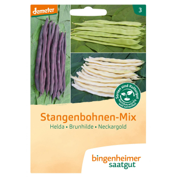 Saat Stangenbohnenmix gelb/lila/grü