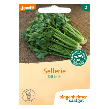 Saat Stangensellerie "Tall Utah"