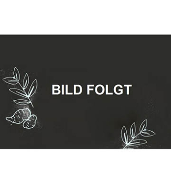 Kartoffelsalat vegan (Großgebinde)