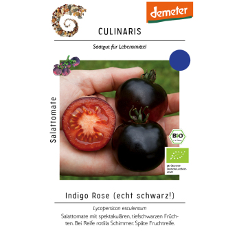 Saat Salattomate "Indigo Rose"