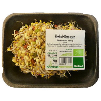 Herbstsprossen