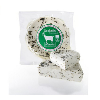 Ilsekrün Brennessel