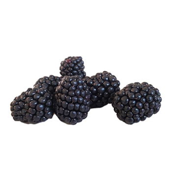 Brombeeren 125 g (Europa)