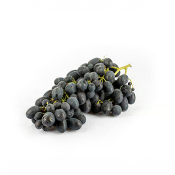 Kernlose Traube blau "Sable"