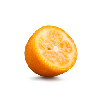 Kumquat