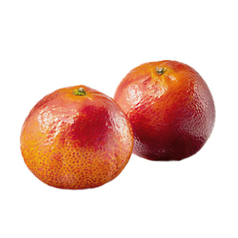 Halbblut-Clementine Tacle